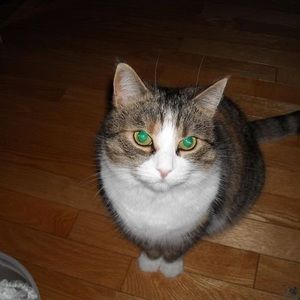 Meet your Posher, Jacqueline